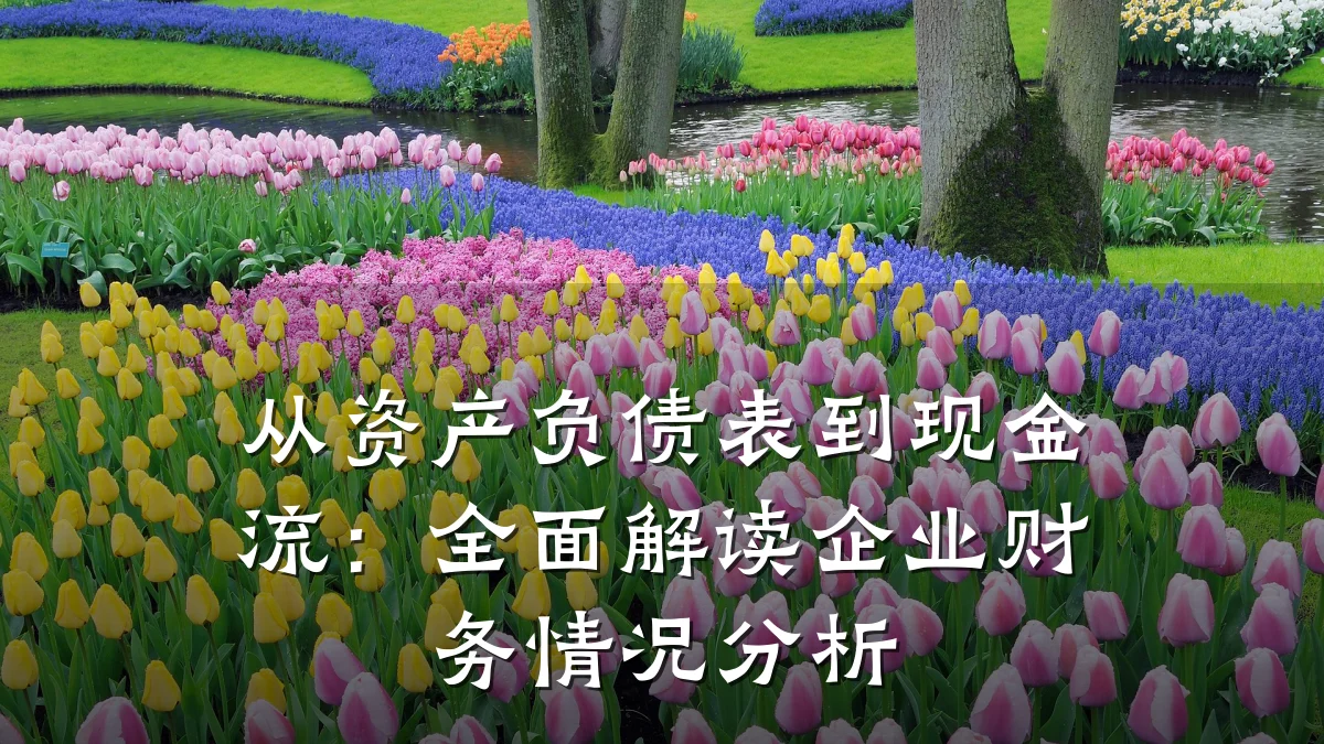 从资产负债表到现金流：全面解读企业财务情况分析