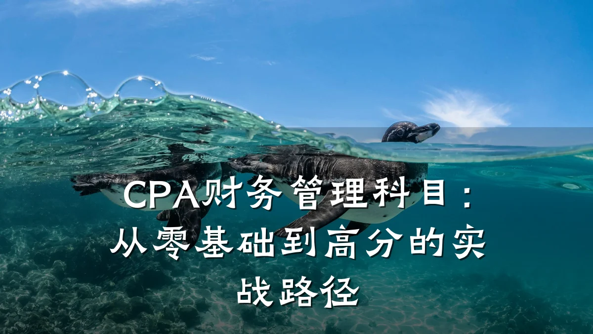 CPA财务管理科目:从零基础到高分的实战路径