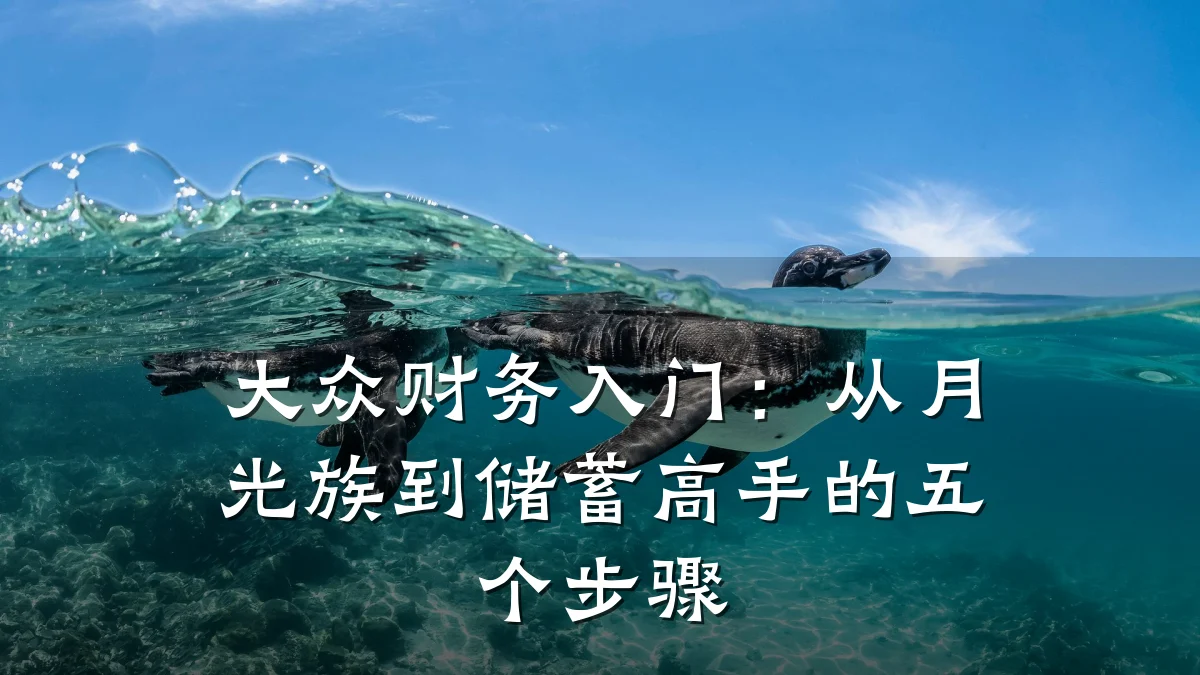 大众财务入门：从月光族到储蓄高手的五个步骤