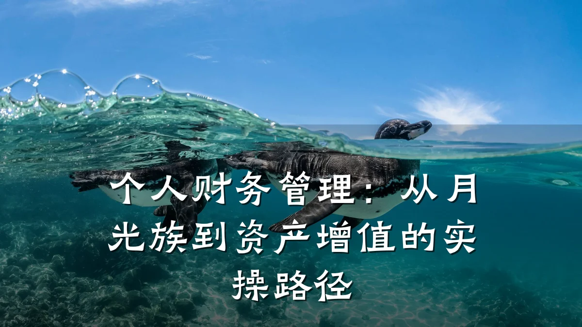 个人财务管理:从月光族到资产增值的实操路径