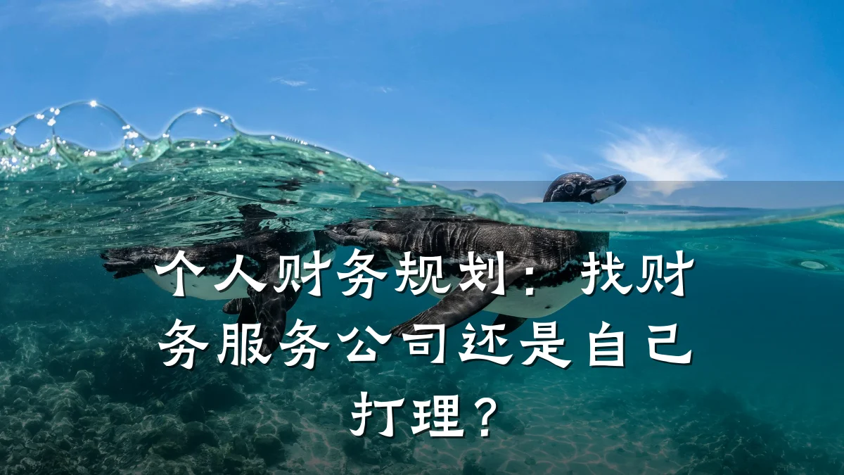个人财务规划：找财务服务公司还是自己打理？