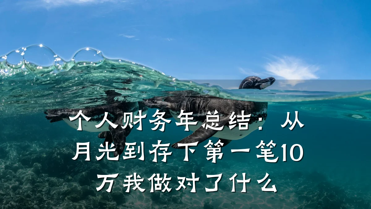 个人财务年总结:从月光到存下第一笔10万我做对了什么