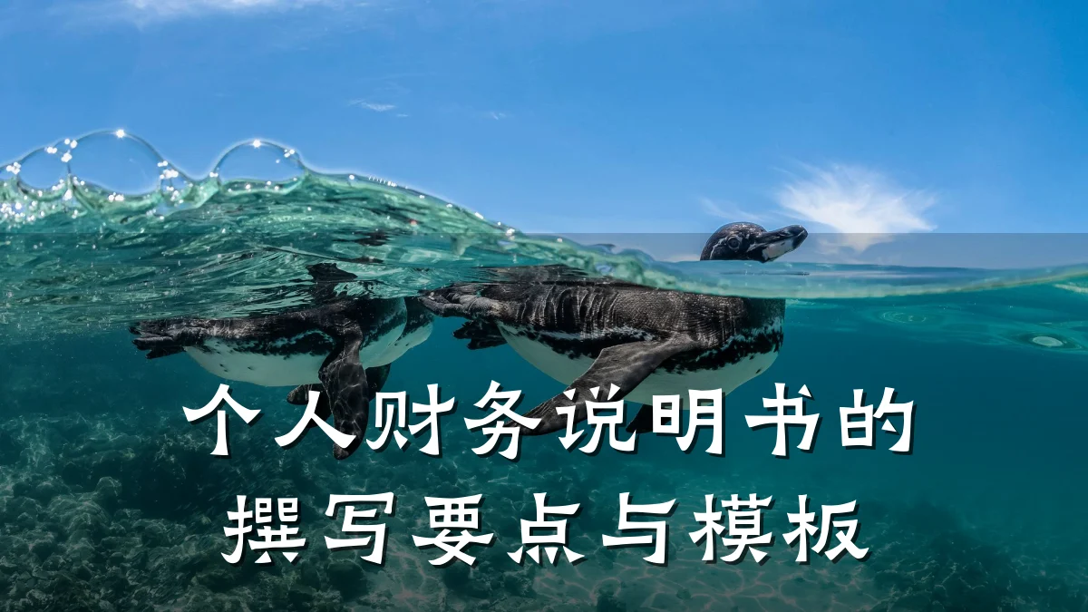 个人财务说明书的撰写要点与模板