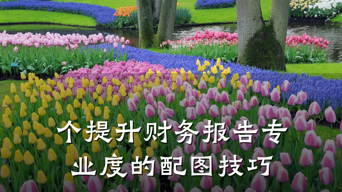 个提升财务报告专业度的配图技巧