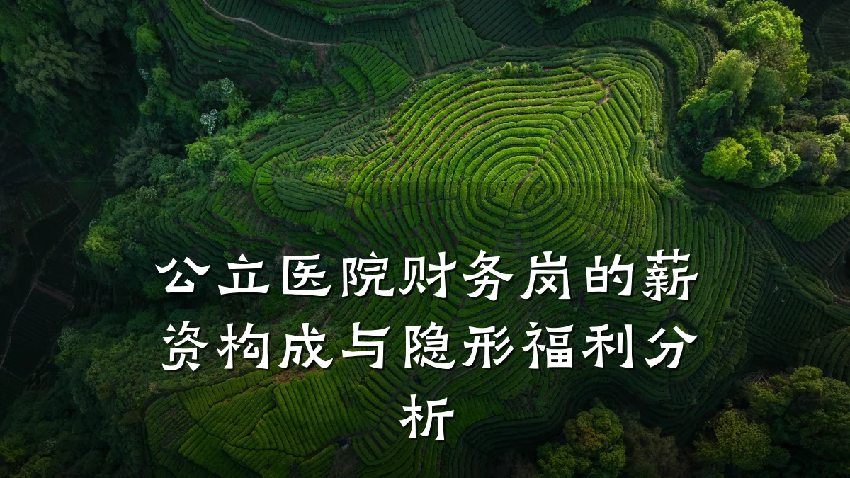 公立医院财务岗的薪资构成与隐形福利分析