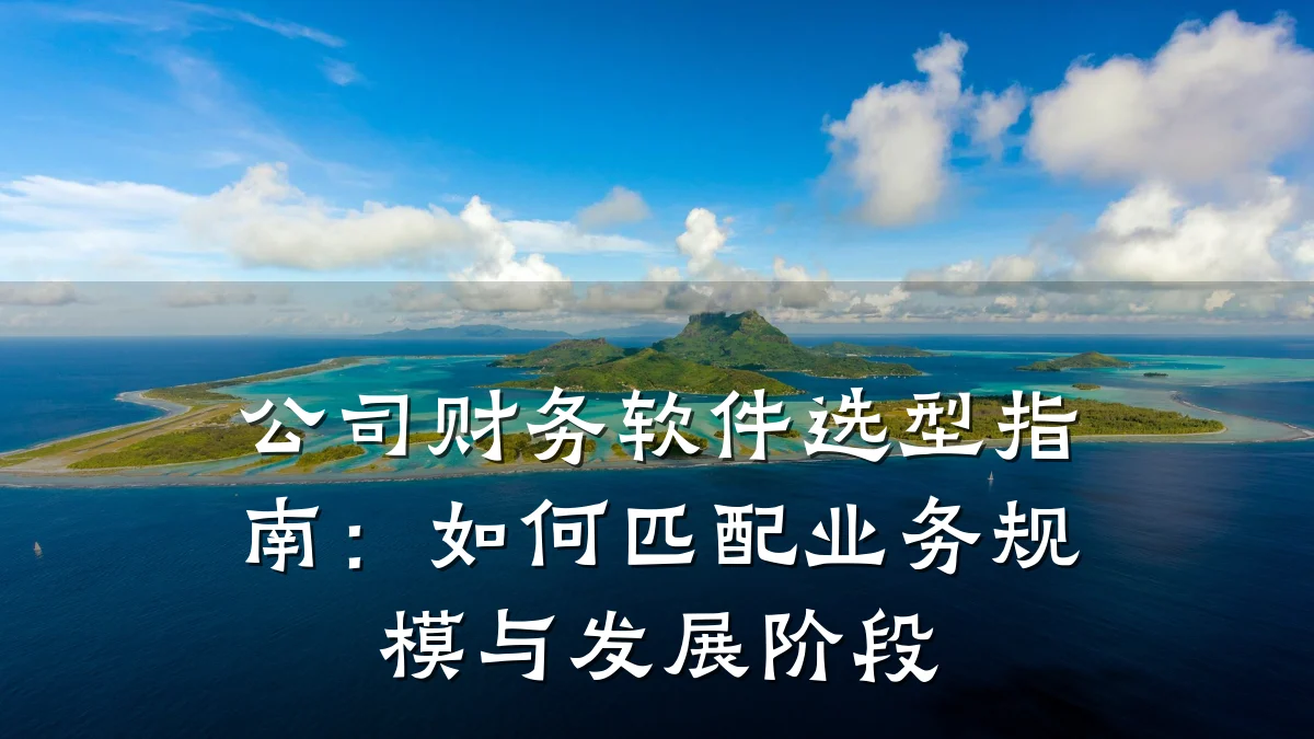 公司财务软件选型指南:如何匹配业务规模与发展阶段