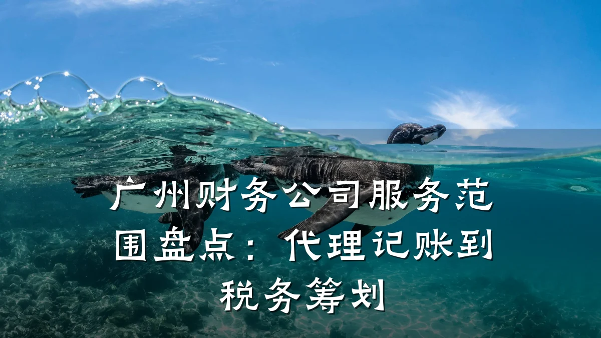广州财务公司服务范围盘点:代理记账到税务筹划