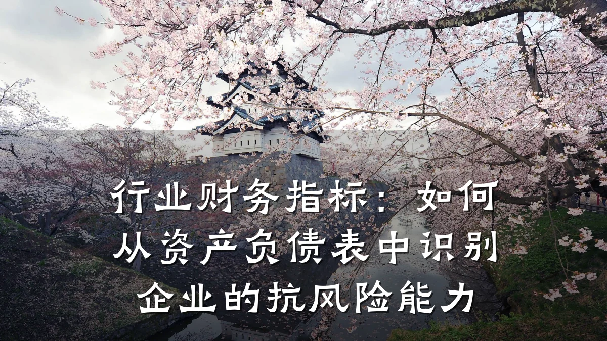 行业财务指标:如何从资产负债表中识别企业的抗风险能力
