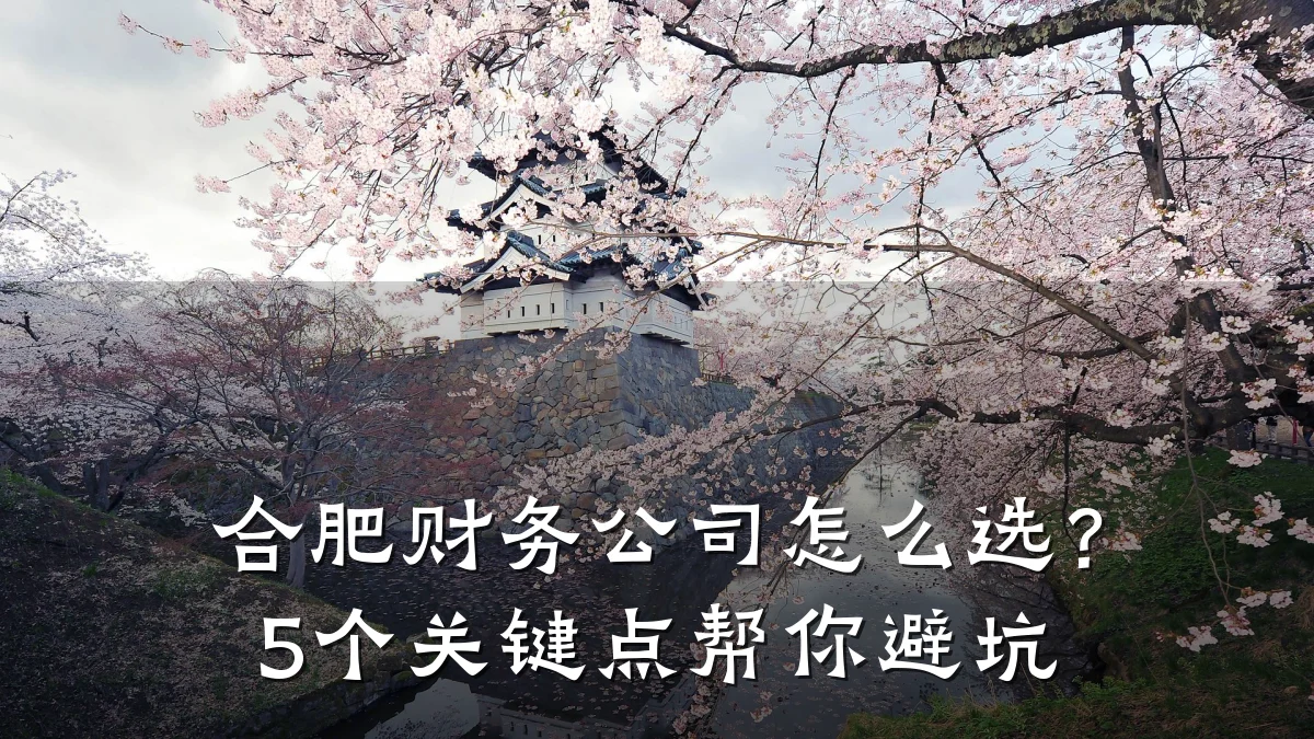 合肥财务公司怎么选?5个关键点帮你避坑