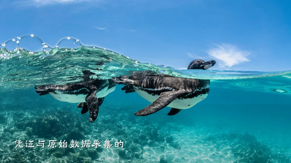 凭证与原始数据采集的