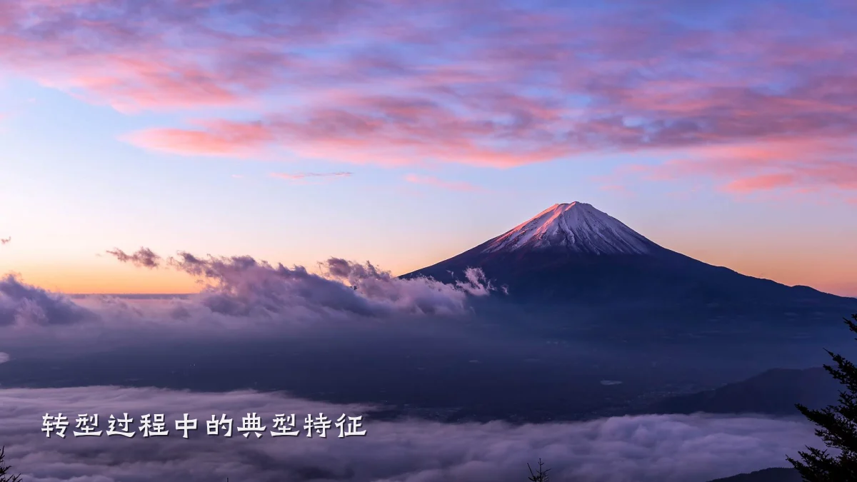 转型过程中的典型特征