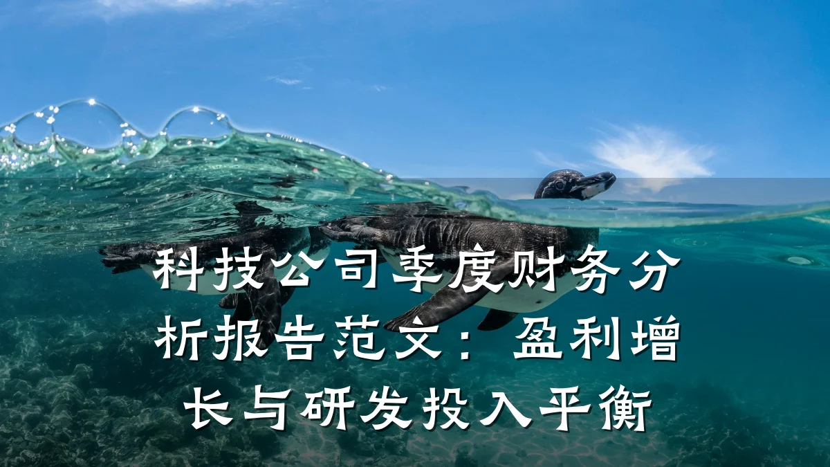 科技公司季度财务分析报告范文:盈利增长与研发投入平衡