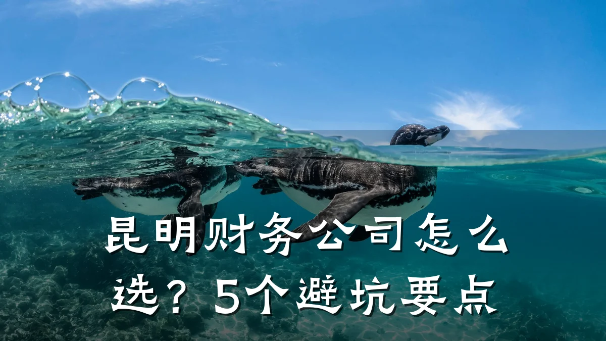 昆明财务公司怎么选？5个避坑要点