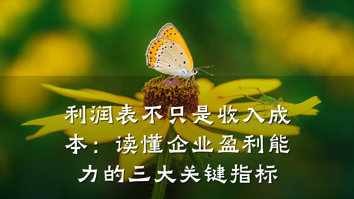 利润表不只是收入成本:读懂企业盈利能力的三大关键指标