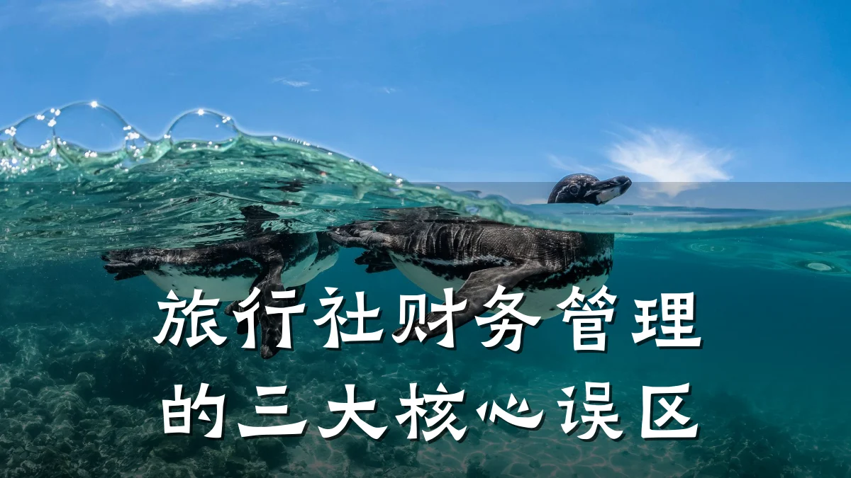 旅行社财务管理的三大核心误区