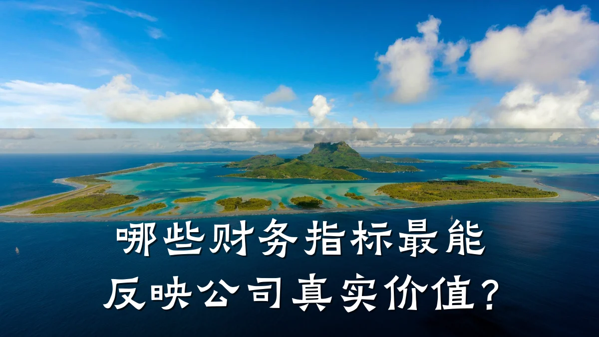 哪些财务指标最能反映公司真实价值?