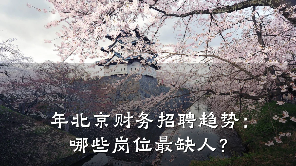 年北京财务招聘趋势:哪些岗位最缺人?