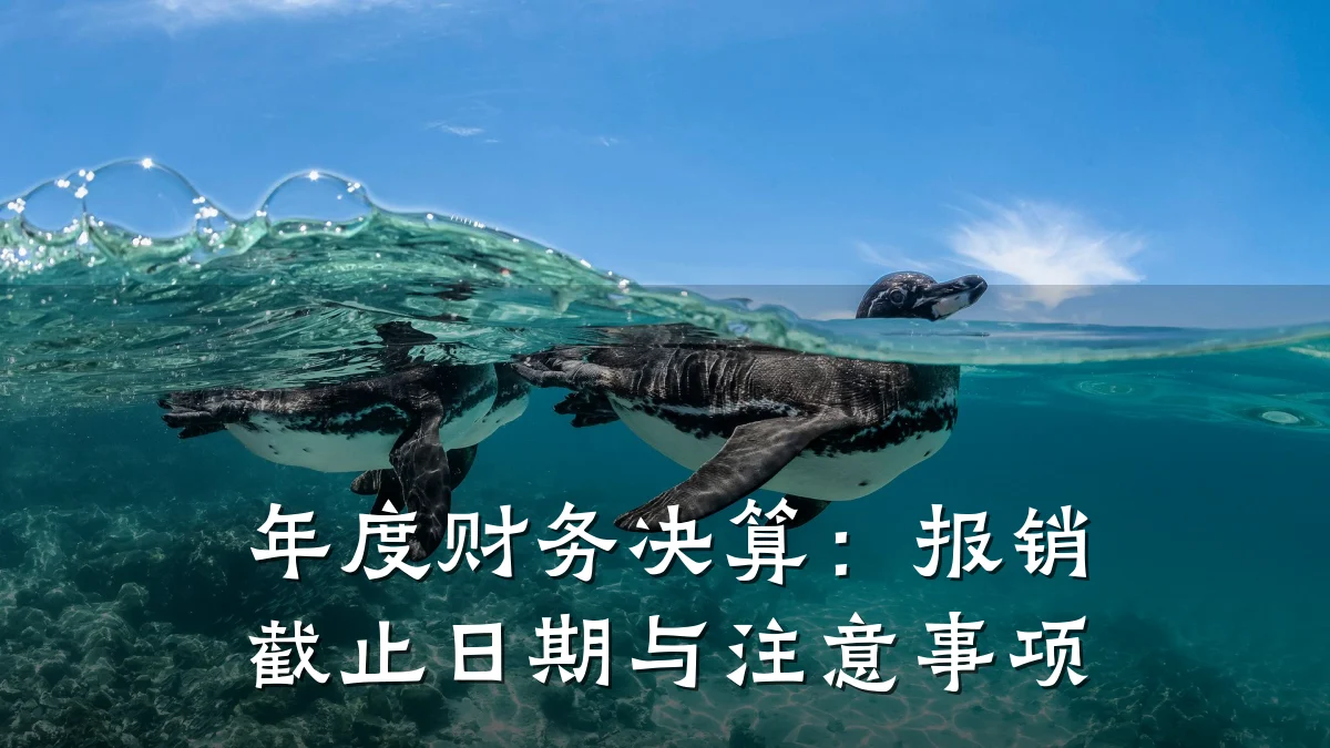 年度财务决算：报销截止日期与注意事项