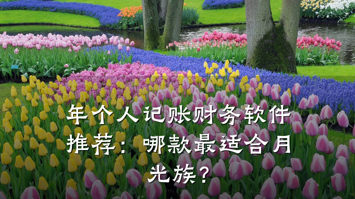 年个人记账财务软件推荐：哪款最适合月光族？
