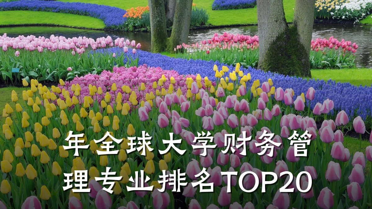 年全球大学财务管理专业排名TOP20
