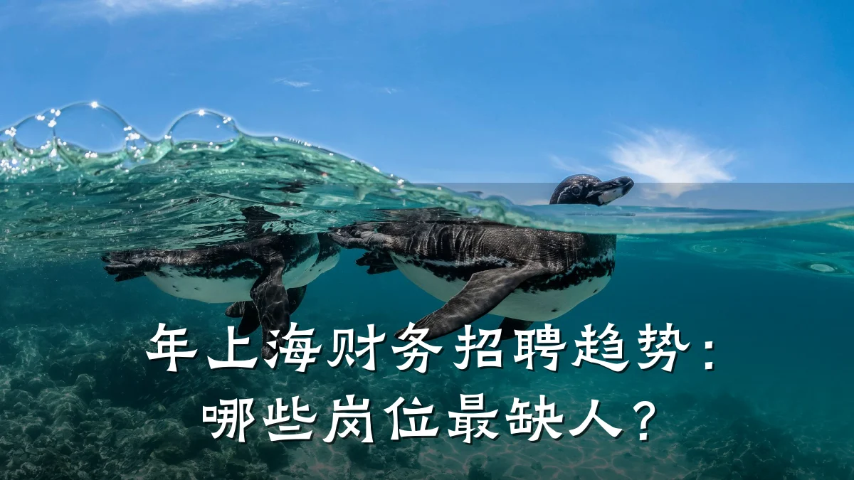 年上海财务招聘趋势：哪些岗位最缺人？