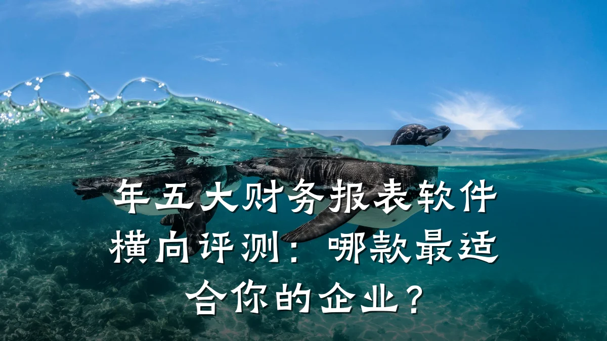 年五大财务报表软件横向评测:哪款最适合你的企业?