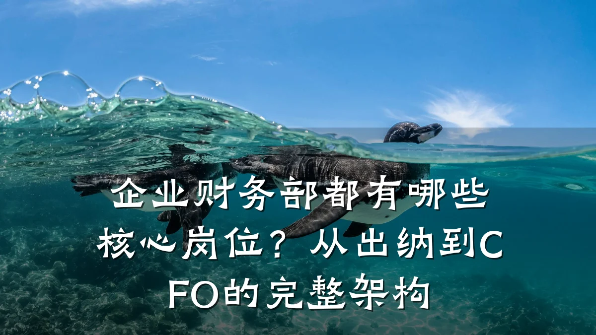 企业财务部都有哪些核心岗位?从出纳到CFO的完整架构