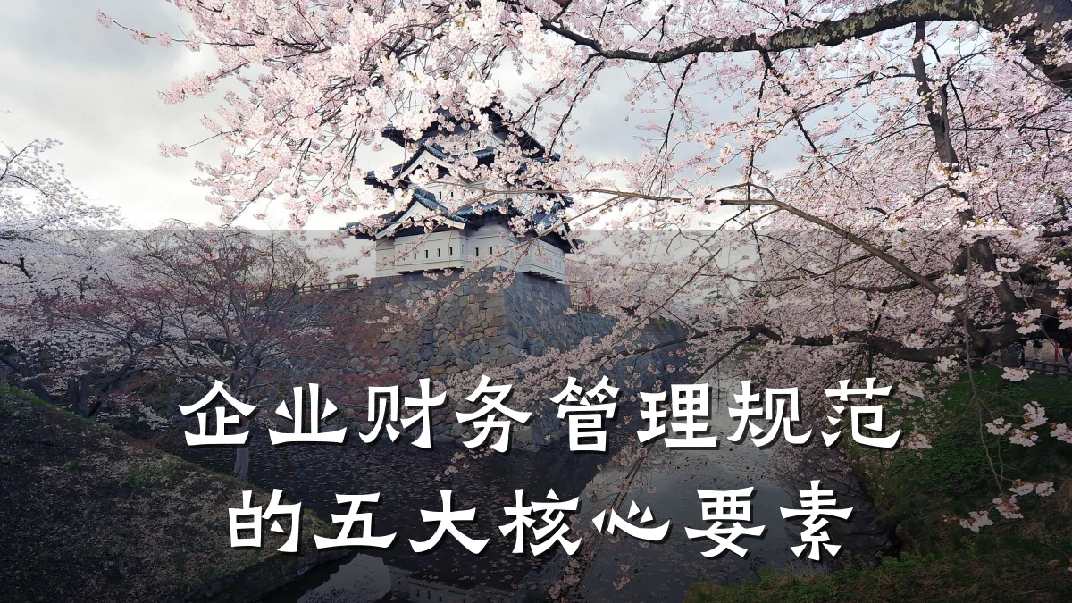 企业财务管理规范的五大核心要素