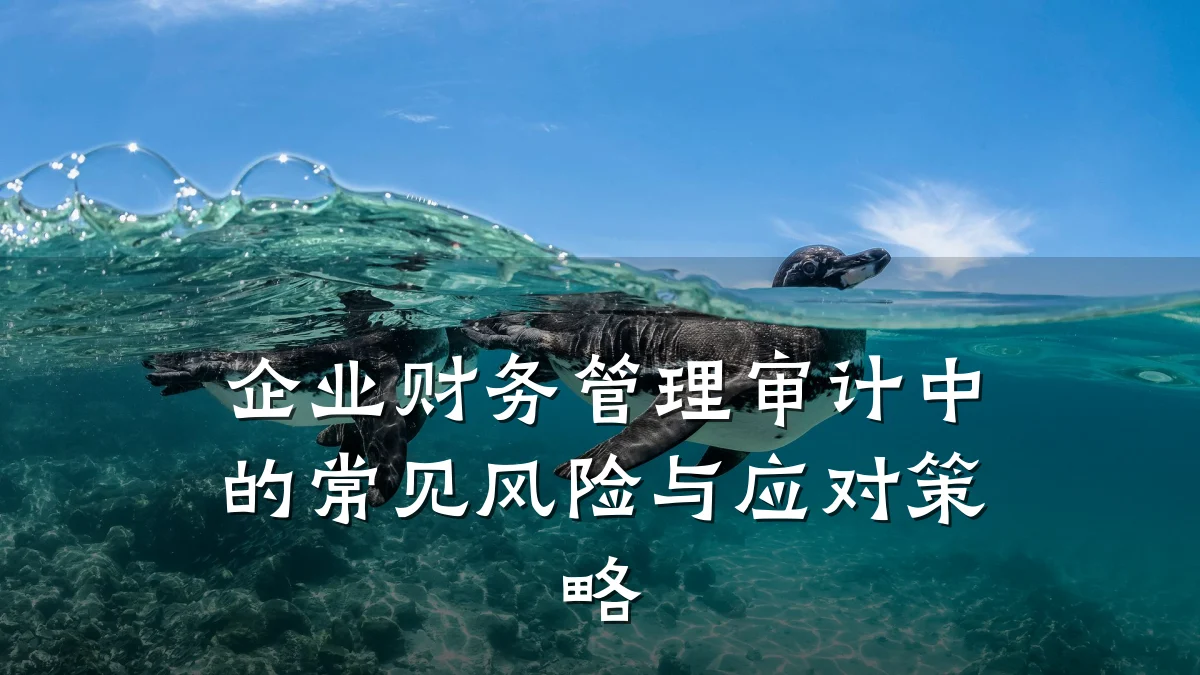 企业财务管理审计中的常见风险与应对策略