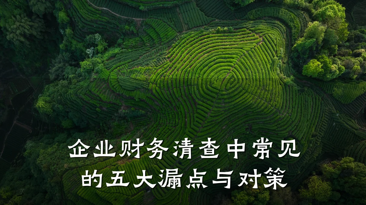 企业财务清查中常见的五大漏点与对策