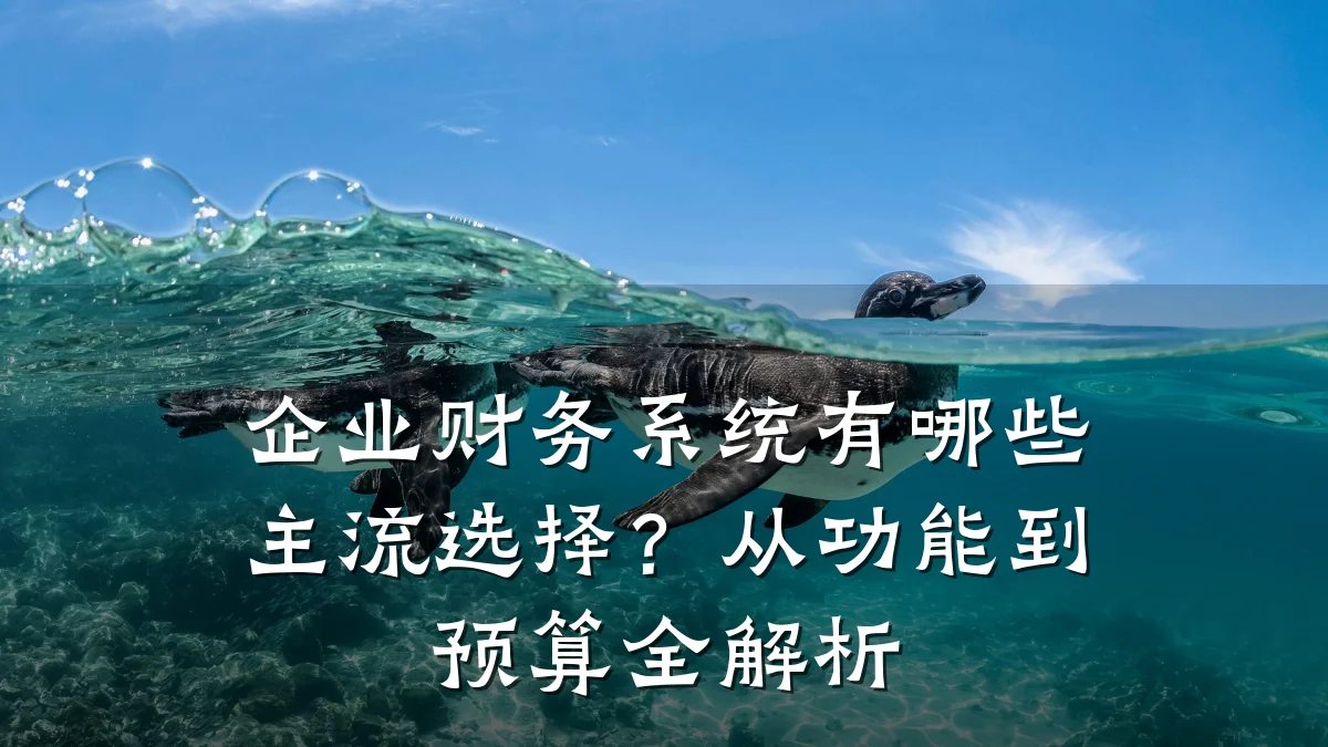 企业财务系统有哪些主流选择?从功能到预算全解析