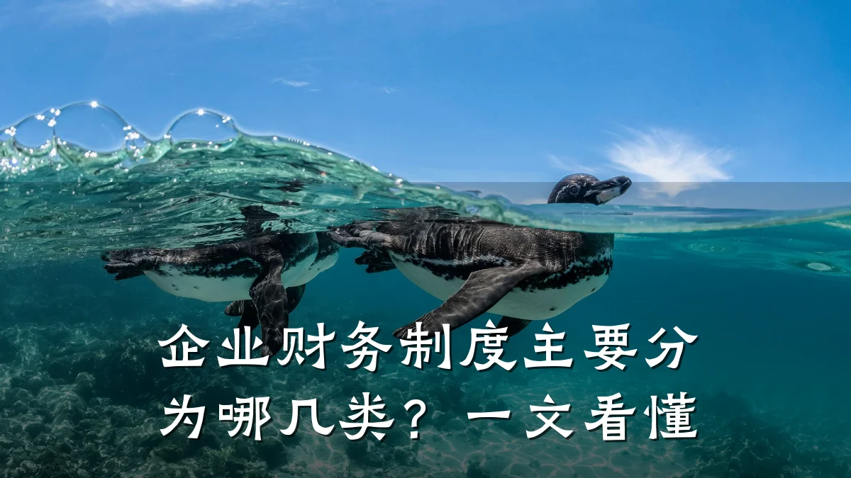 企业财务制度主要分为哪几类?一文看懂