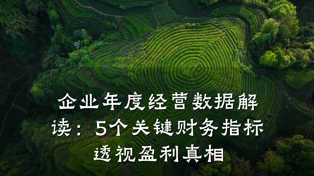 企业年度经营数据解读:5个关键财务指标透视盈利真相