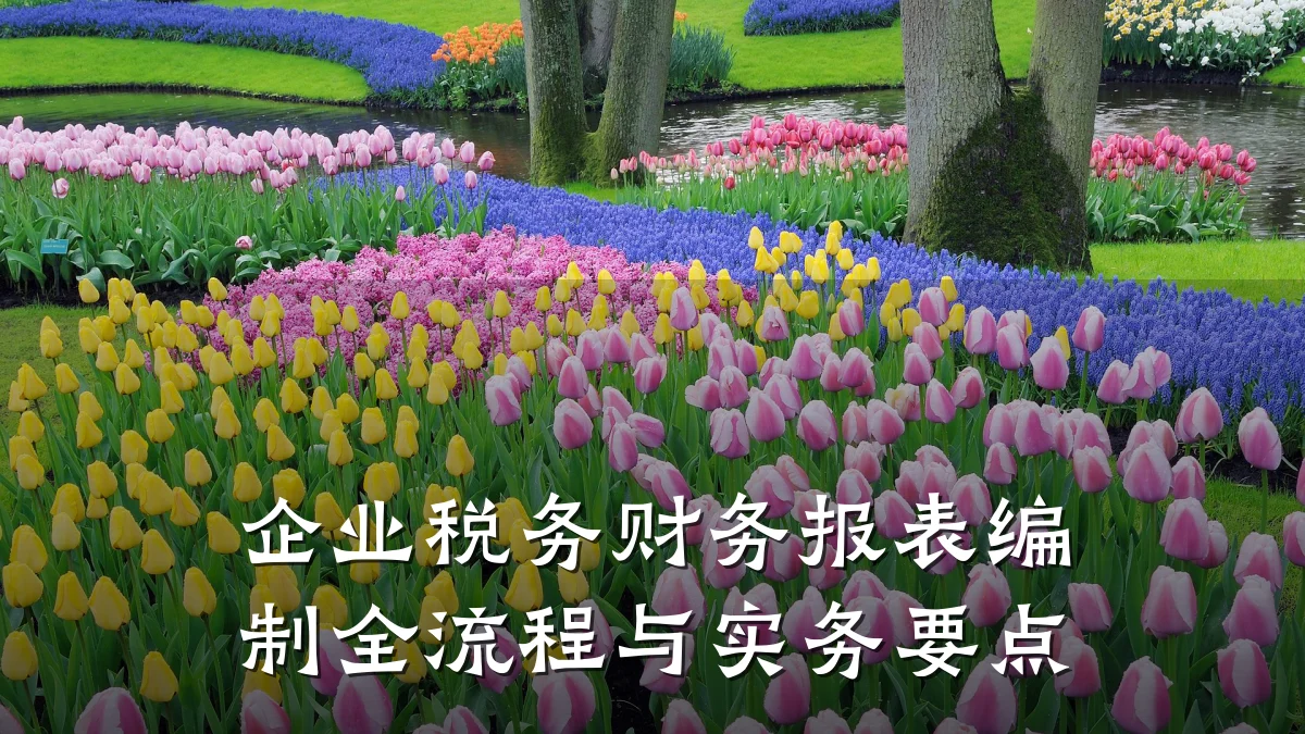 企业税务财务报表编制全流程与实务要点
