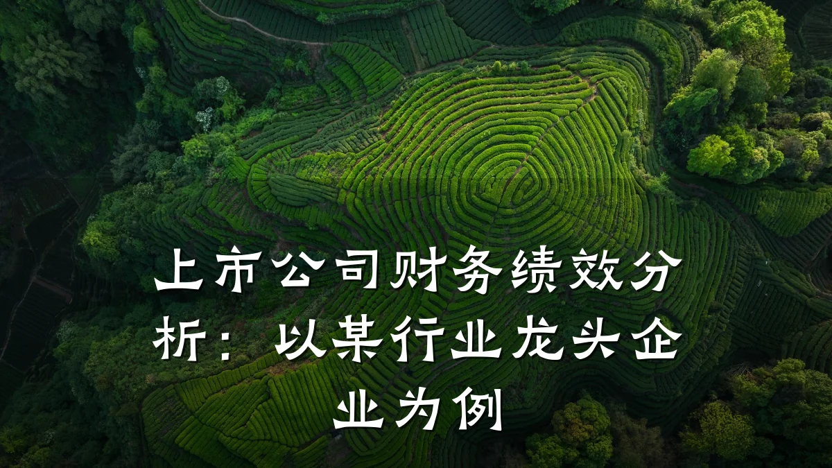 上市公司财务绩效分析:以某行业龙头企业为例
