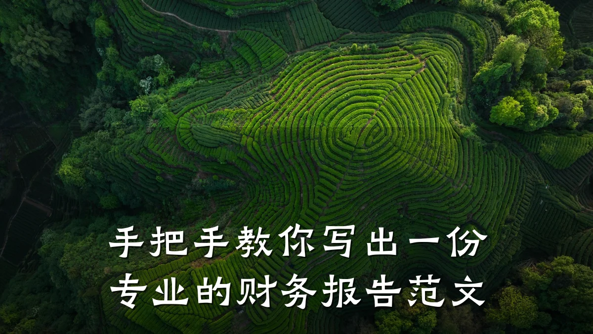 手把手教你写出一份专业的财务报告范文