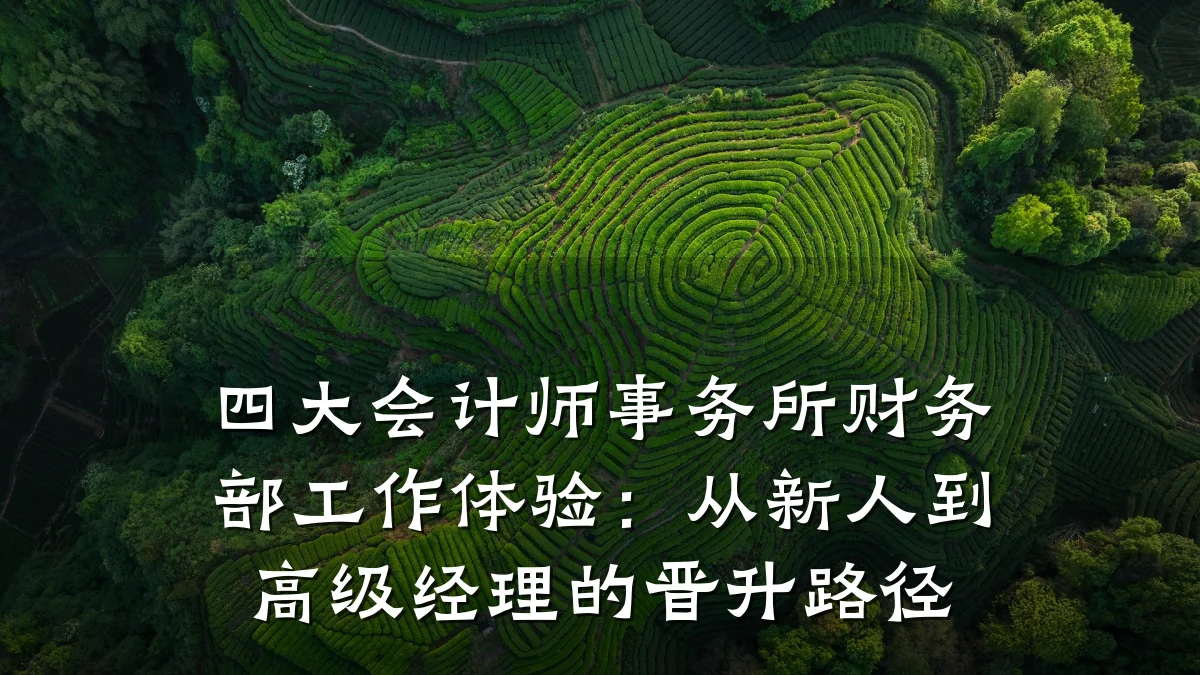 四大会计师事务所财务部工作体验:从新人到高级经理的晋升路径