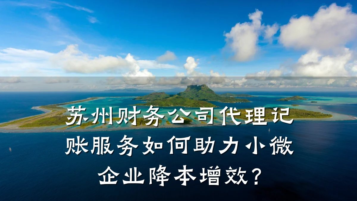 苏州财务公司代理记账服务如何助力小微企业降本增效?
