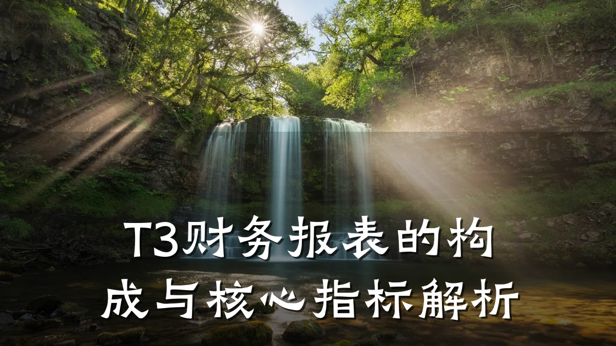 T3财务报表的构成与核心指标解析