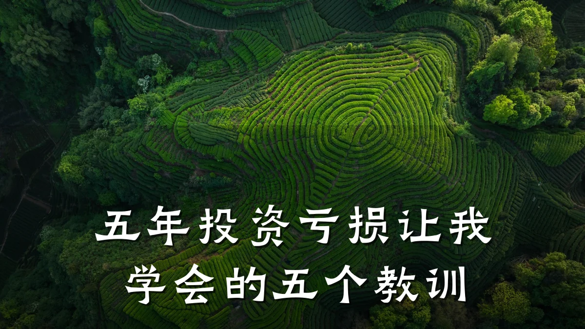 五年投资亏损让我学会的五个教训
