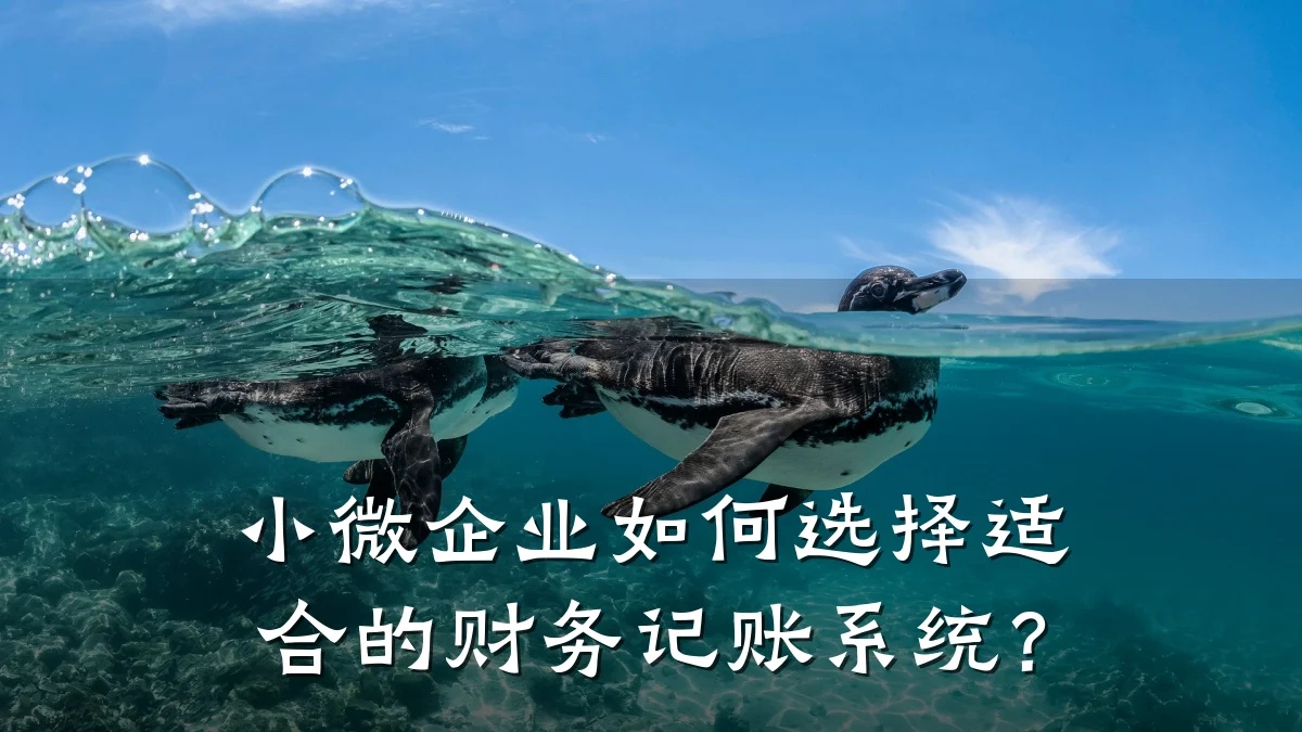小微企业如何选择适合的财务记账系统?