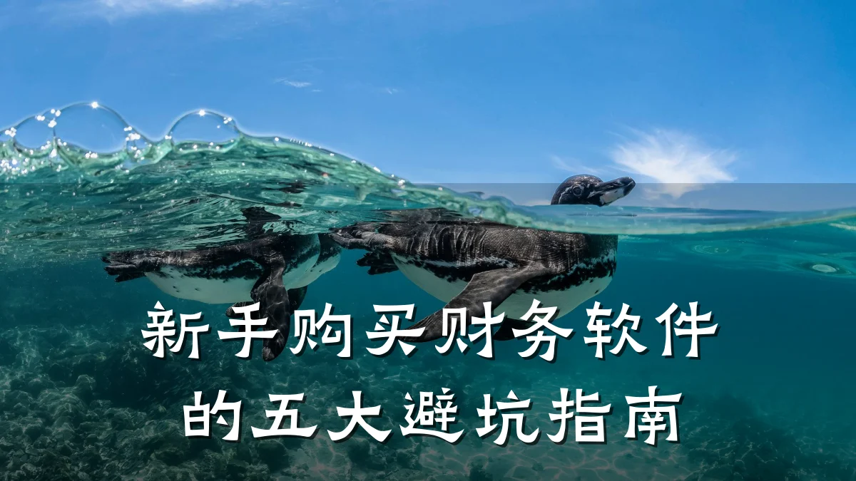 新手购买财务软件的五大避坑指南