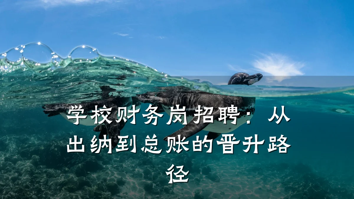 学校财务岗招聘:从出纳到总账的晋升路径