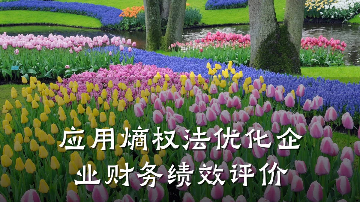 应用熵权法优化企业财务绩效评价