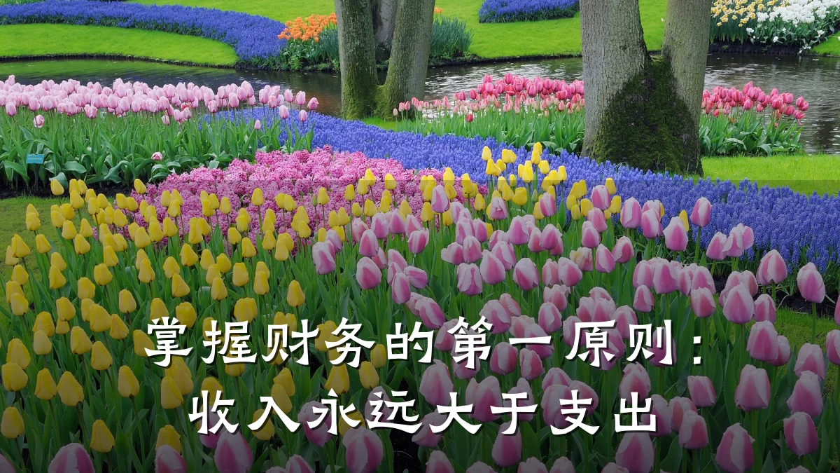 掌握财务的第一原则：收入永远大于支出