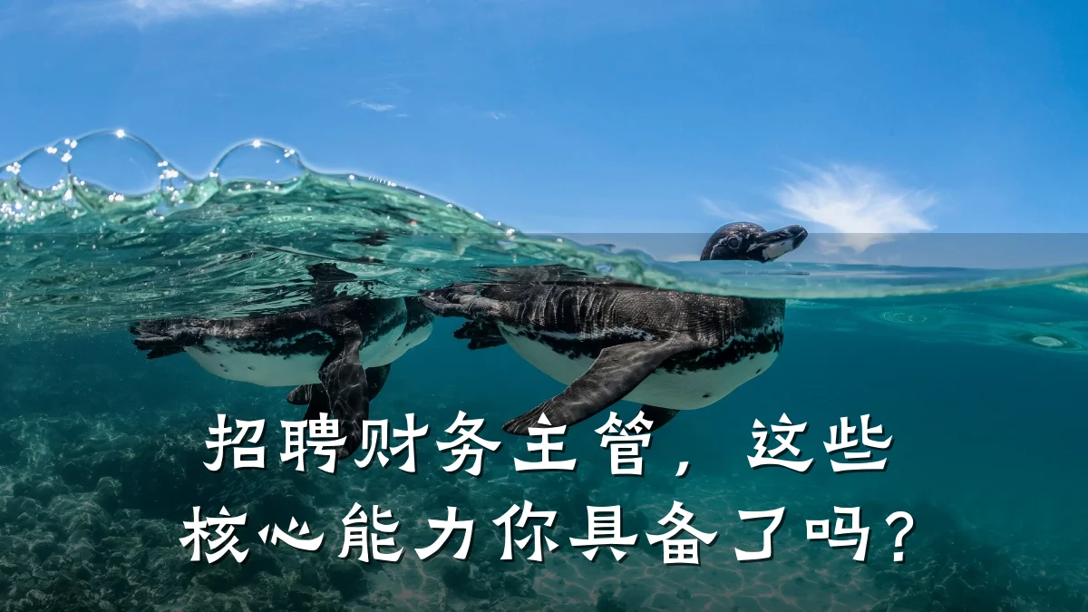 招聘财务主管，这些核心能力你具备了吗？