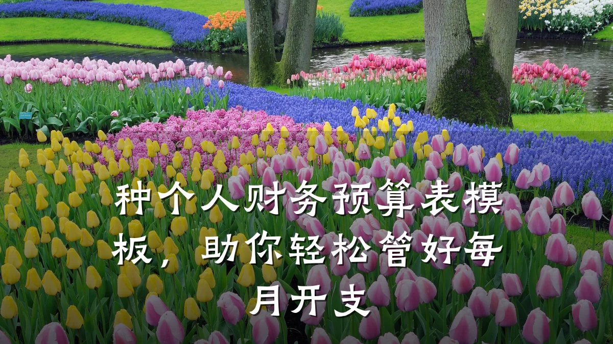 种个人财务预算表模板,助你轻松管好每月开支