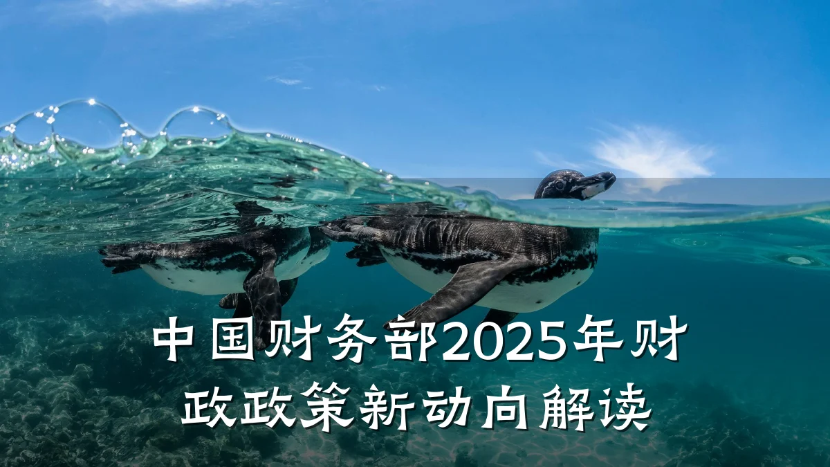 中国财务部2025年财政政策新动向解读