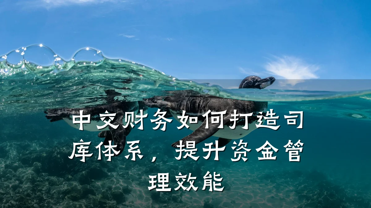 中交财务如何打造司库体系,提升资金管理效能