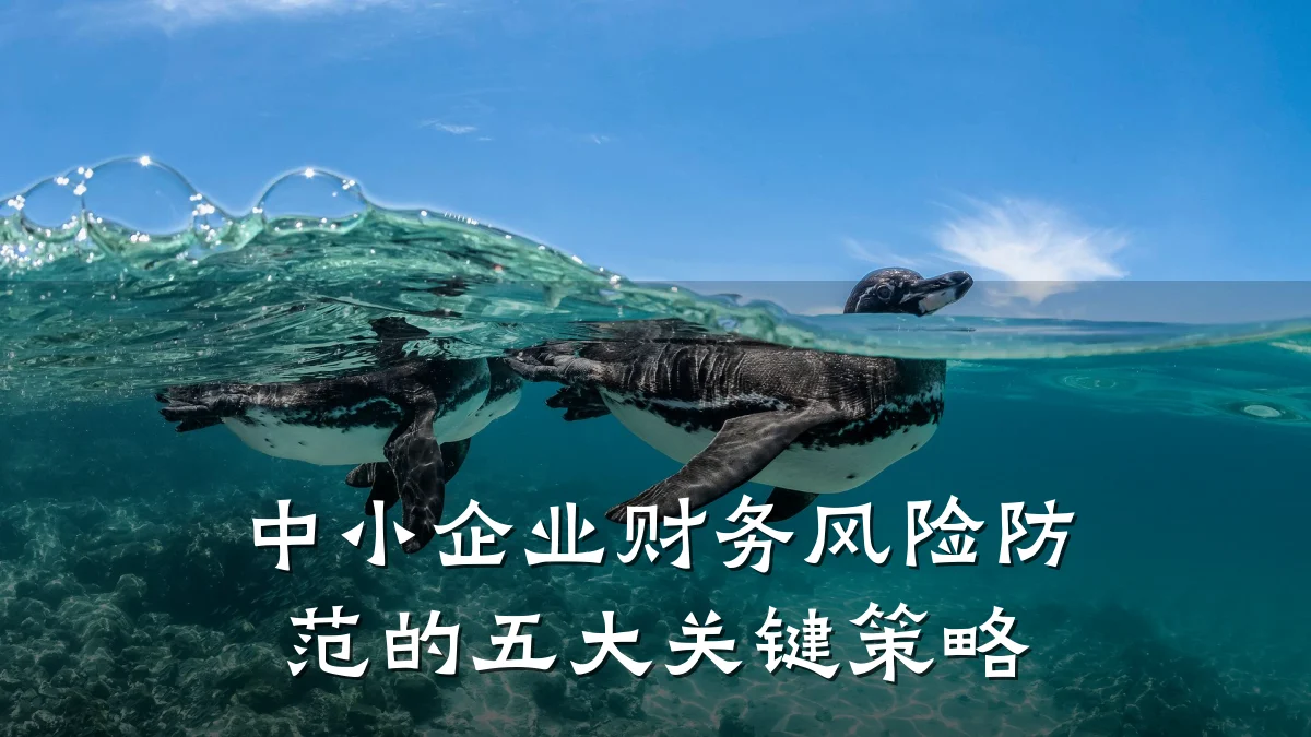 中小企业财务风险防范的五大关键策略